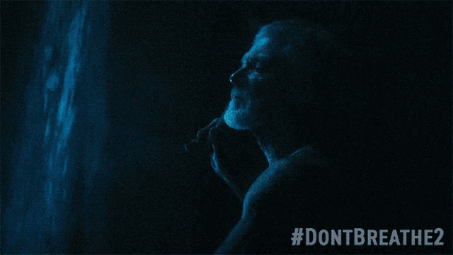a poster for a movie called dont breathe2