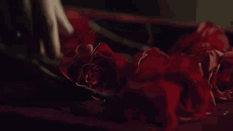 a bunch of red roses laying on a table .