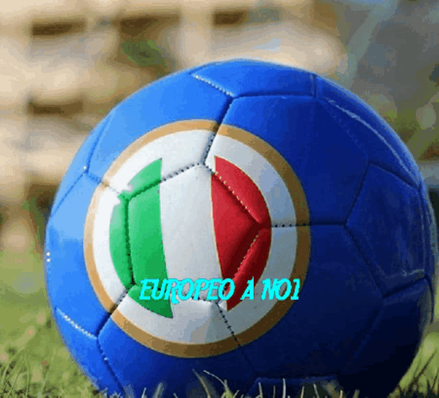 a blue soccer ball with the words eurored a no1 on it