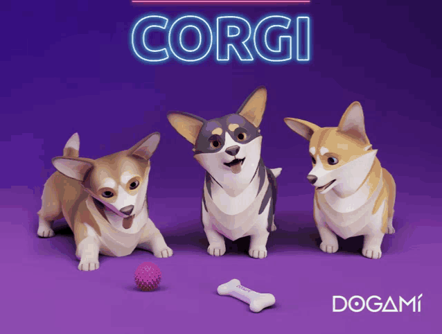 three corgi dogs are standing next to each other with a bone and a ball