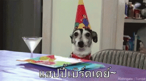 สุขสันต์วันเกิด แฮปปี้เบิร์ดเดย์ GIF - Happy Birthday Dog Party GIFs
