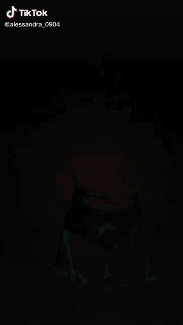 a screenshot of a tiktok video by alessandra_0904