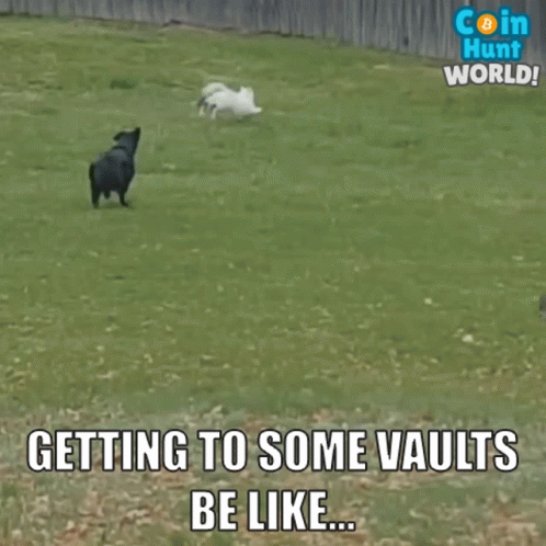 Coin Hunt World Coin Hunt Cat GIF - Coin Hunt World Coin Hunt Coin Hunt Cat GIFs