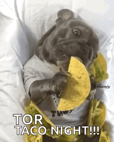 Tacos Dog GIF - Tacos Dog Cute GIFs