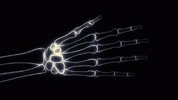 Xray Hands GIF - Xray Hands Skeleton GIFs