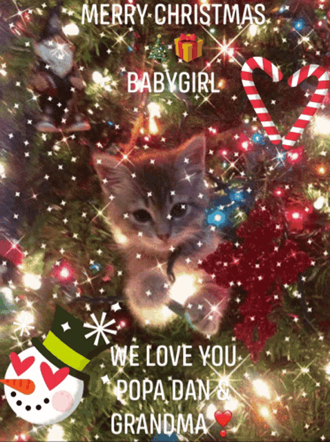 a christmas card with a kitten and the words merry christmas babygirl we love you popa dan grandma