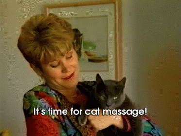 Cat Massage GIF - Cats Cat Massage Creepy GIFs