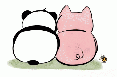 Panda Pig GIF - Panda Pig GIFs