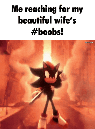 shadow the hedgehog is reaching for his beautiful wife 's breasts .