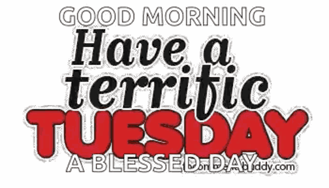 a good morning have a terrific tuesday a blessed day