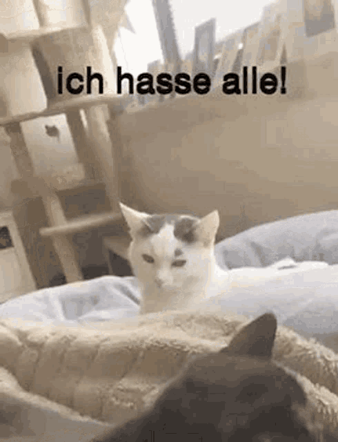 I Hate You All Ich Hasse Alle GIF - I Hate You All Ich Hasse Alle Hate GIFs