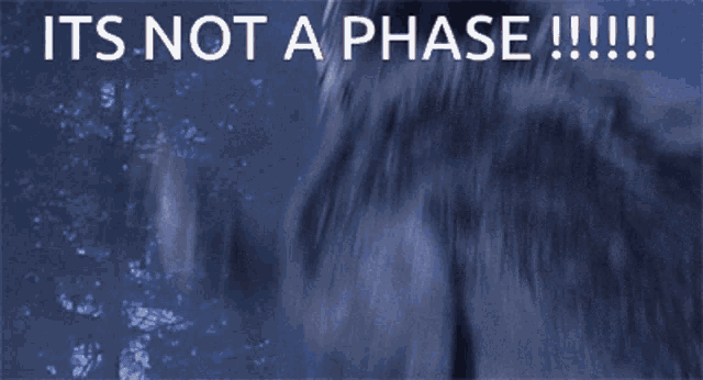 a picture of a werewolf with the words " it 's not a phase " on the bottom