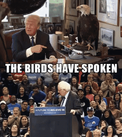 Birdiesanders Birds Have Spoken GIF - Birdiesanders Birds Have Spoken GIFs