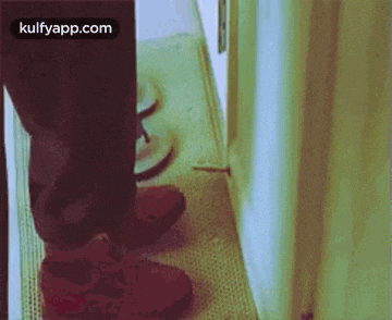 a person 's feet are standing on a carpeted floor next to a wall .