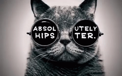 Gato Gafas GIF - Gato Gafas Hipster GIFs