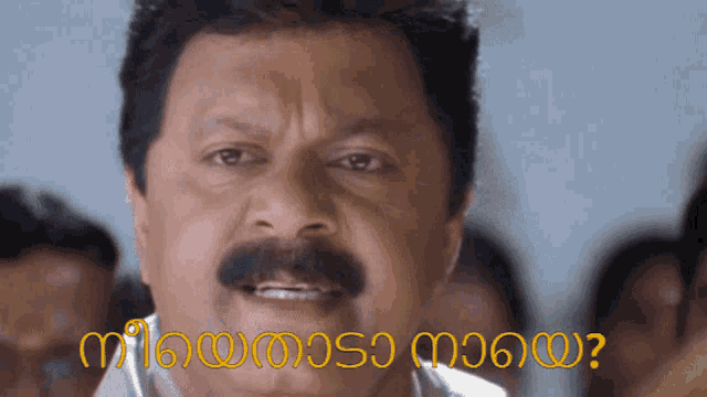 Pulival Kalyanam Nee Ethada Naaye GIF