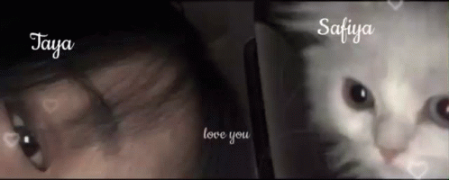 Lovers GIF - Lovers GIFs