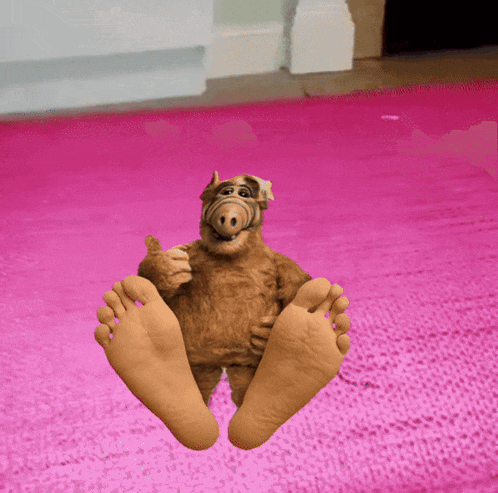 a stuffed animal laying on a pink rug with its feet up