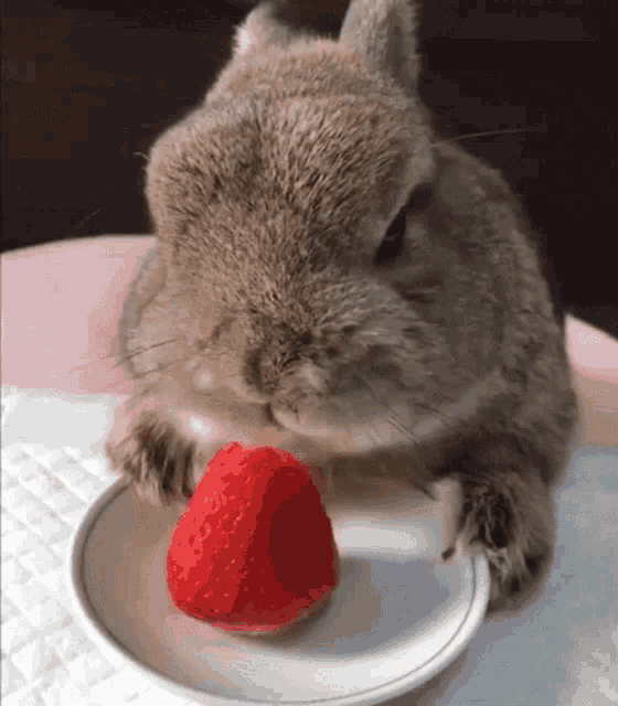 Yummy Strawberry GIF