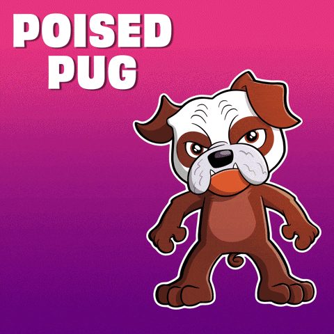 a cartoon illustration of a brown and white bulldog with the words poised pug above it