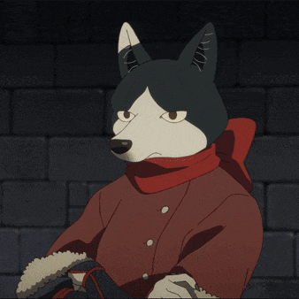 a black and white animal with a red scarf around his neck