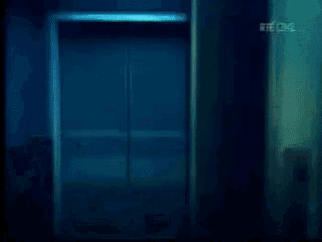 a nurse is standing in a hallway with rte one written on the bottom of the screen