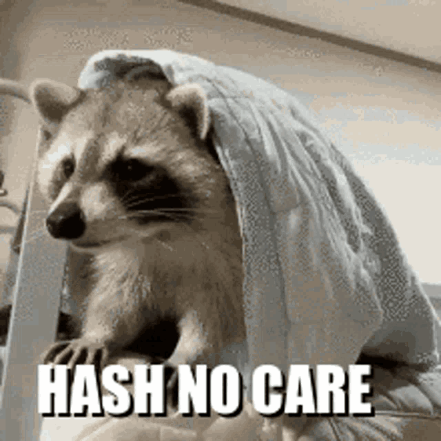 a raccoon is sitting on a bed under a blanket with the words hash no care below it