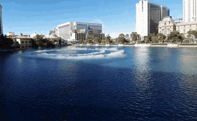 a large body of water with buildings in the background and a building that says mgm on it