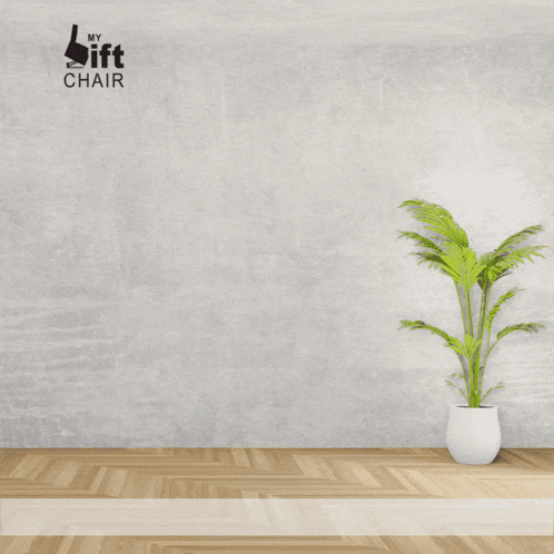 a picture of a comfort lift recliner with a plant in front of it