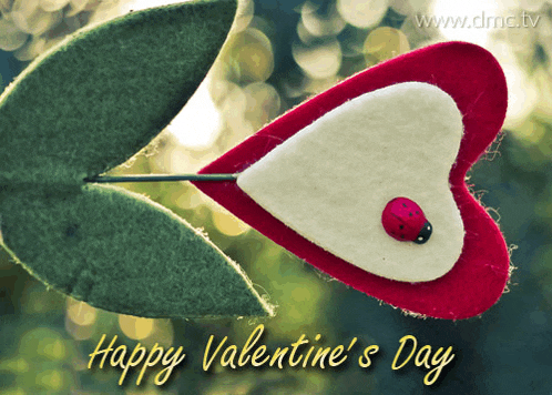 a ladybug sits on a heart shaped flower with the words happy valentine 's day below