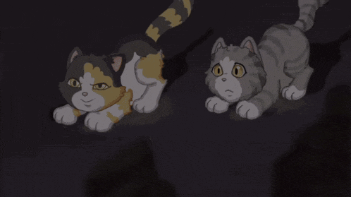 a calico cat and a gray cat with yellow eyes
