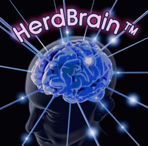 Herdbrain GIF - Herdbrain Herd Brain GIFs