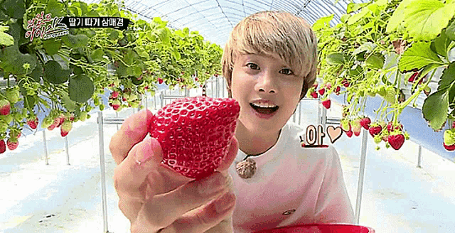 Woosu Iz GIF