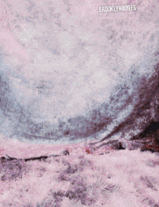 a brooklynbones album cover shows a brick wall covered in snow
