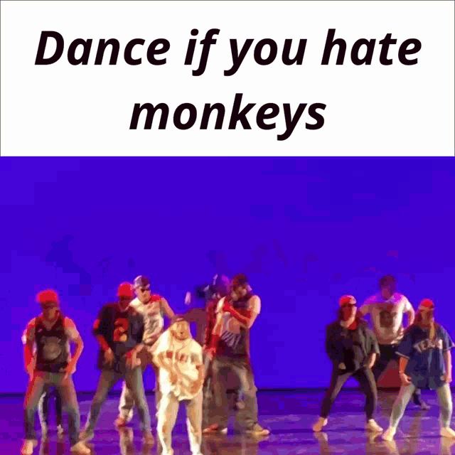 Dance If You Hate Monkeys Monkey GIF - Dance If You Hate Monkeys Monkey Dance GIFs