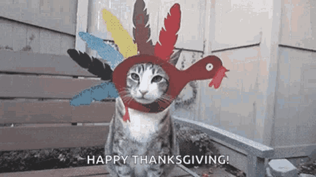 Happy Thanksgiving GIF - Happy Thanksgiving Kaim GIFs