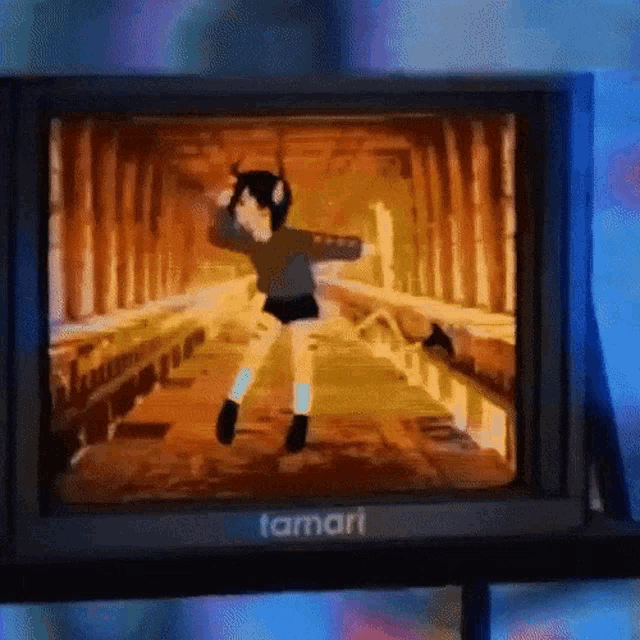 a tamari monitor shows a girl dancing on the screen