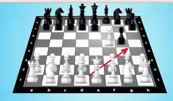 Xadrez Chess GIF - Xadrez Chess GIFs