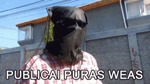 a man in a plaid shirt has a mask on his head and the words publicai puras weas written on the bottom
