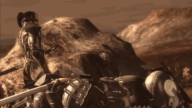 a video game scene with a man standing on a rock with a sword