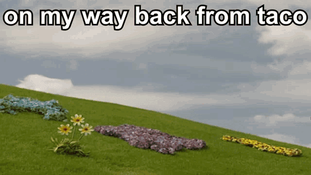 Back From Taco On My Way Back From Taco GIF - Back From Taco On My Way Back From Taco On My Way GIFs