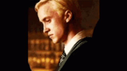 Draco Malfoy GIF - Draco Malfoy Harry GIFs