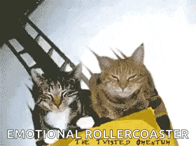 two cats are riding on a roller coaster with the words emotional rollercoaster written on the bottom