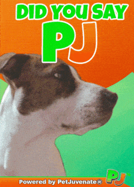 a poster that says " did you say pj " with a picture of a dog