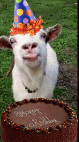 Happy Birthday Goats GIF - Happy Birthday Goats GIFs
