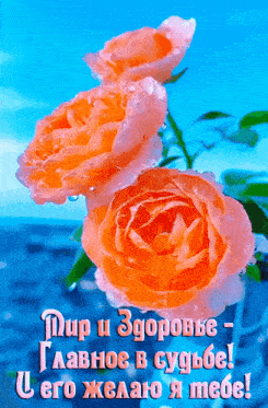 a greeting card in a foreign language with flowers and water drops