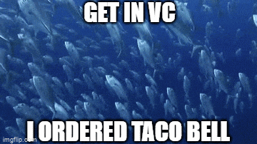 a bunch of fish are swimming in the ocean with the words get in vc i ordered taco bell