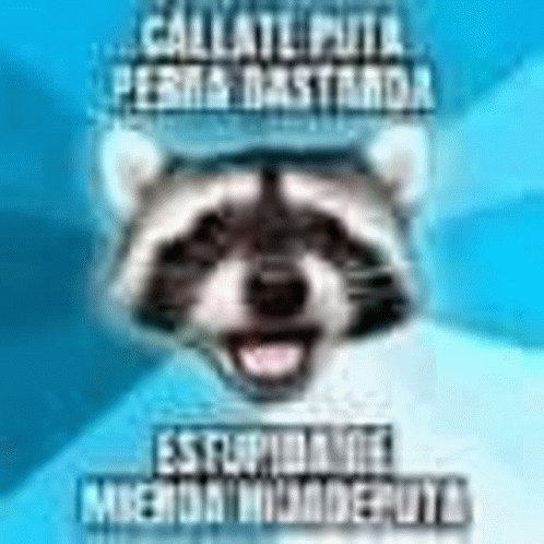 Callate Puta Perra Bstarda GIF - Callate Puta Perra Bstarda GIFs