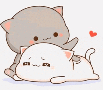 a couple of cats laying on top of each other .