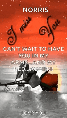 norris can 't wait to have you in my arms and my bed again !! love you